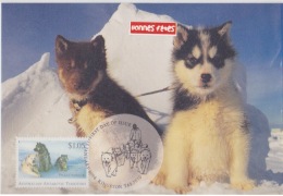 AAT-australian  13 -1-1994  KINGSTON Husky Pups - Maximumkarten