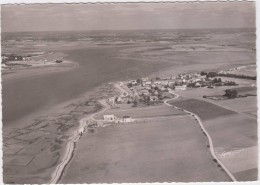 Penerf. Vue Générale. - Questembert