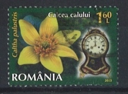 ROMANIA 2013 Flora - Clocks & Flowers; Kingcup (Caltha Palustris) Postally Used MICHEL # 6675 - Used Stamps