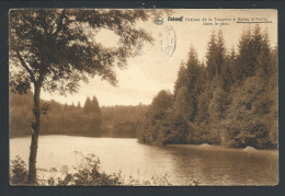 CPA - ARLON - Château De La Trapperie à HABAY LA VIEILLE - Dans Le Parc - Nels  Série Arlon N° 55 // - Habay