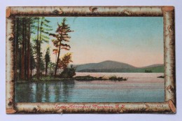 In The Adirondack Mountains, New York, N.Y., 1909, Log Border Postcard - Adirondack