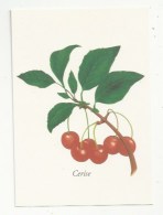 FLEURS - PLANTES - LA CERISE - PRUNUS CERASUS - ED. YVES ROCHER - Plantes Médicinales