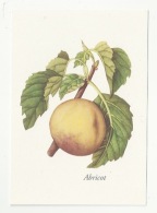 FLEURS - PLANTES - ABRICOT - PRUNUS ARMENIACA - ED. YVES ROCHER - Medicinal Plants