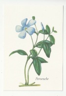 FLEURS - PLANTES - PERVENCHE - VINCA MINOR - ED. YVES ROCHER - Heilpflanzen