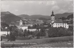 AK - WALDHAUSEN Im Strudengau -  Schloßberg 60er - Hinterstoder