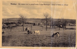 MANHAY : Un Aspect De La Grand'route Liège-Bastogne - Manhay