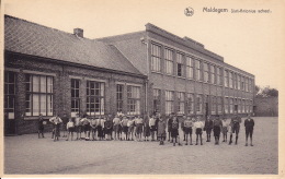 MALDEGEM : Sint-Antonius School - Maldegem