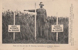 80 - ACHEUX - Essai Sur Blé, Fait Chez M.Desanty, Agriculteur à Acheux - Acheux En Amienois