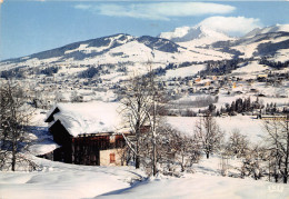 74-MEGEVE-   LE MONT D'ARTOIS - Megève