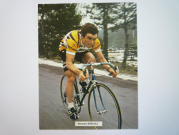 Carte  PUB  RENAULT  GITANE  CAMPAGNOLO  :  Bernard  HINAULT   - Cycling
