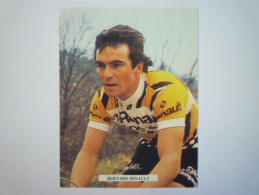 Carte  PUB  RENAULT  GITANE  CAMPAGNOLO  :  Bernard  HINAULT   - Cycling