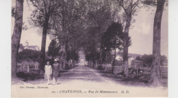 88 - CHATENOIS / RUE DE MANNECOURT - Chatenois