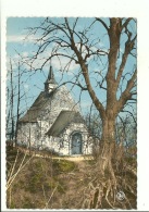 Braine Le Château Chapelle Sainte Croix - Kasteelbrakel