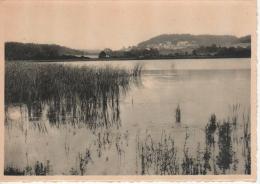 Environs De Mariembourg: Roly, étang Darche - Philippeville