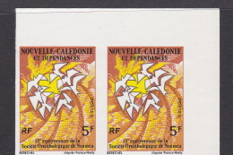 New Caledonia SG 558 1975 10th Anniversary Ornithological Society Imperforated Pair MNH - Nuevos