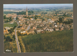 STEENVOORDE VUE GENERALE AERIENNE Champs De Houblon - Steenvoorde