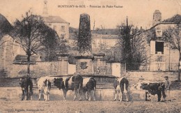 ¤¤  -   MONTIGNY-le-ROI  -  Fontaine Du Puits-Vachot  -  Vaches  -  Tampon De L'Hopital Temporaire N° 6  -  Val-de-Meuse - Montigny Le Roi