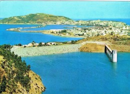 18356. Postal CEUTA. Pantano Y Vista Parcial - Ceuta