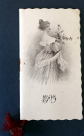 Calendrier Publicitaire 1909  Félix Potin Victor Leu à Nice Et Antibes - Small : 1901-20