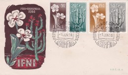 Thème Cactus - Enveloppe, Carte - Sukkulenten