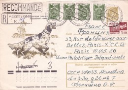 Chien - Lettre - Hunde