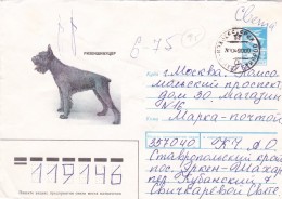 Chien - Lettre - Dogs