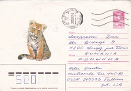 Tigre - Lettre - Félins