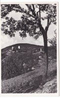 Burg Alt-Windeck Germany, Windeck Castle Ruins, C1940s Vintage Postcard - Rastatt