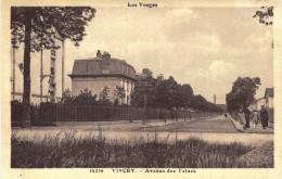 Carte Postale Ancienne De VINCEY - Vincey