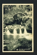 LUXEMBOURG  -  Mullerthal  Schiessentumpel Waterfall  Unused Vintage Postcard - Muellerthal