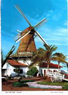 Amérique - Netherlands Antilles - The Old Mill - Aruba - Moulin - Autres & Non Classés