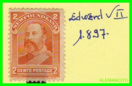 TERRANOVA Y  LABRADOR -   ( NEW FOUNDLAND - CANADA ) SELLO AÑO 1897 EDWARD VII - Unused Stamps