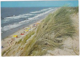 Duin En Zee - Gem. Westerschouwen Burgh-Haamstede-Renesse  - Zeeland- Holland/Nederland - Renesse