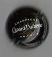 CHAMPAGNE - CANARD DUCHENE N° 75 H - Canard Duchêne