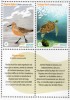 2013 URUGUAY  Bird Calidris Canutus Rufa Moon Bird & Marine Turtle Chelonia Mydas MNH Stamp Set - Albatros & Stormvogels