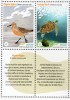 2013 URUGUAY  Bird Calidris Canutus Rufa Moon Bird & Marine Turtle Chelonia Mydas MNH Stamp Set - Palmípedos Marinos