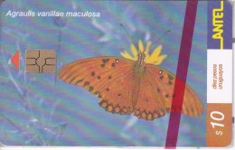 Nº 183 TARJETA DE URUGUAY DE ANTEL DE UNA AGRAULIS VANILLAE (MARIPOSA-BUTTERFLY) NUEVA-MINT - Uruguay