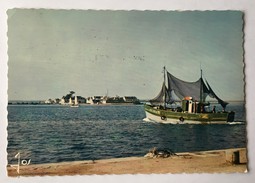 ILE TUDY Chalutier Rentrant Au Port 1962 - Ile Tudy