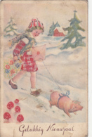 44185- MUSHROOMS, PIG, GIRL, WINTER LANDSCAPE - Pilze