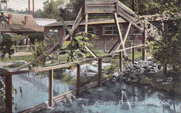 Hot Springs, Arkansas, Alligator Farm - Hot Springs
