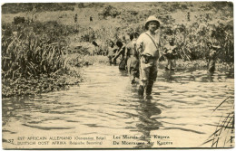 CONGO BELGE CARTE POSTALE ENTIER SURCHARGE EST AFRICAIN ALLEMAND (OCCUPATION BELGE) N°37 LES MARAIS DE LA KAGERA - Ganzsachen