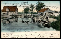 ALTE POSTKARTE WARENDORF MÜHLE UND BLEICHE Postcard Cpa Ak Ansichtskarte - Warendorf