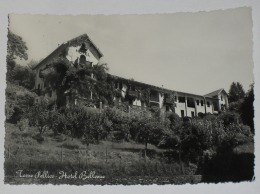 TORINO - Torre Pellice - Hotel Bellevue - 1957 - Bar, Alberghi & Ristoranti