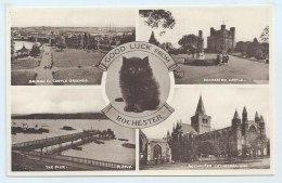 Rochester Multiview - Black Cat - Rochester