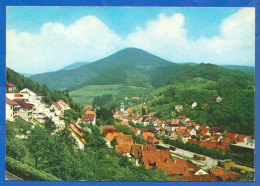 Deutschland; Bad Peterstal - Griesbach; Panorama - Bad Peterstal-Griesbach