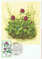 FLORA-L282 - ALLEMAGNE N° 798 Sur Carte Maximum Trèfles - 1961-1980