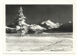 Cp, Suisse, Crans Sur Sierre, Nocturne, Weisshorn Et Rothorn, Voyagée 1964 - Sierre