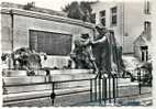 MOL- LAAR- MONUMENT 1914-1918 - Mol