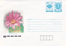 Cactus - Enveloppe - Carte - Document - Cactus