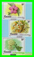 RWANDA  ( AFRICA  ) - 3 SELLOS AÑO 1981 - 1980-1989